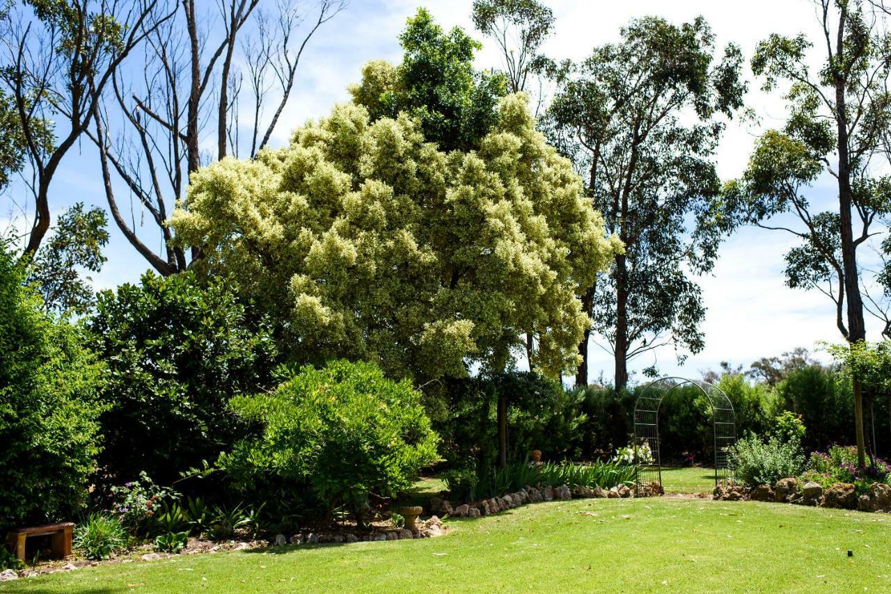 Fairlawn Estate Guest House Busselton Ngoại thất bức ảnh